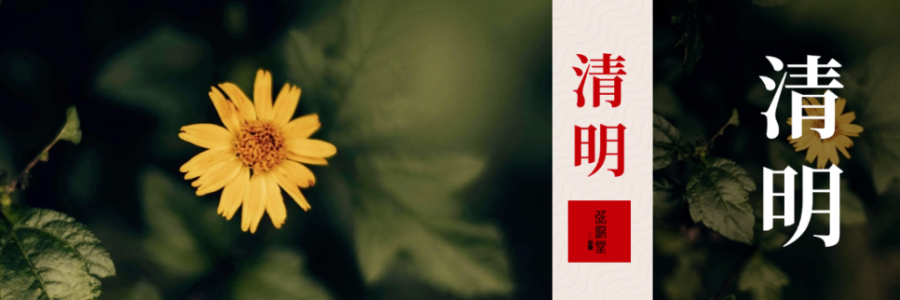 清明 | 清明艾暖，灸護陰陽